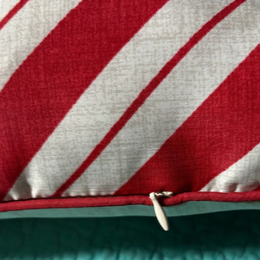 Festive Dog Holiday Pillow Cover